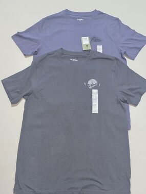 Lot of 2 Goodfellow Men's Graphic T-shirts, Size M, Color Gray/Navy.